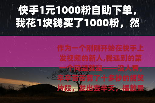 快手1元1000粉自助下单，我花1块钱买了1000粉，然后呢？