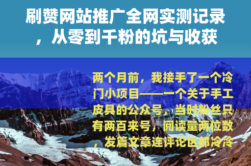 刷赞网站推广全网实测记录，从零到千粉的坑与收获
