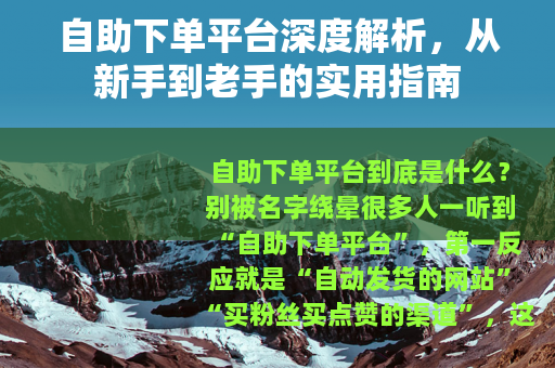 自助下单平台深度解析，从新手到老手的实用指南