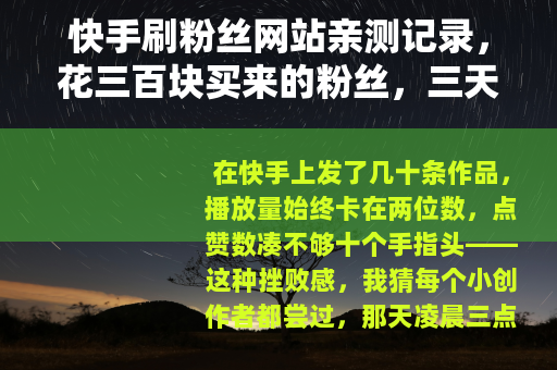 快手刷粉丝网站亲测记录，花三百块买来的粉丝，三天后全消失