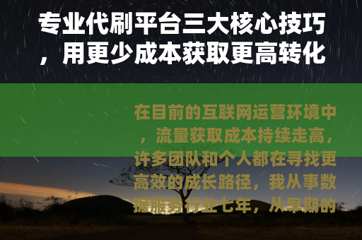 专业代刷平台三大核心技巧，用更少成本获取更高转化率