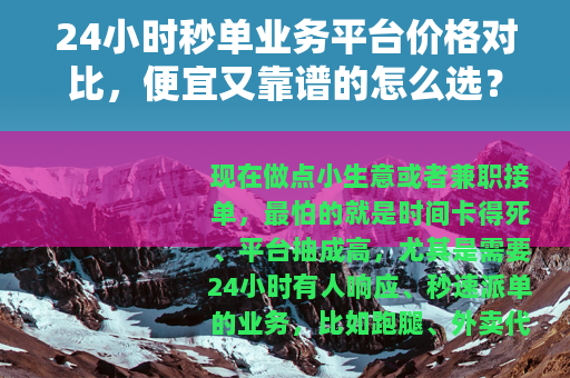 24小时秒单业务平台价格对比，便宜又靠谱的怎么选？