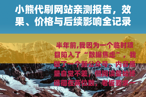 小熊代刷网站亲测报告，效果、价格与后续影响全记录