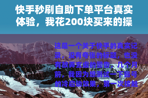 快手秒刷自助下单平台真实体验，我花200块买来的操作指南
