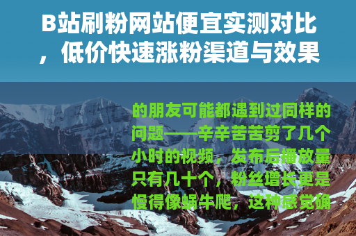 B站刷粉网站便宜实测对比，低价快速涨粉渠道与效果真实分享
