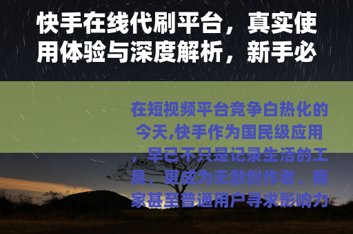快手在线代刷平台，真实使用体验与深度解析，新手必看指南