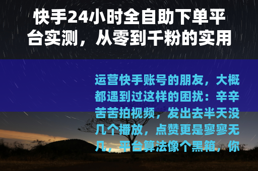 快手24小时全自助下单平台实测，从零到千粉的实用经验分享