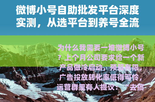 微博小号自助批发平台深度实测，从选平台到养号全流程指南