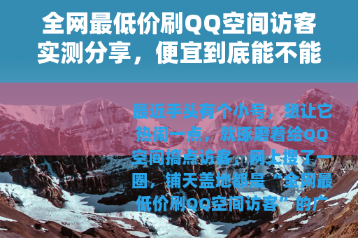 全网最低价刷QQ空间访客实测分享，便宜到底能不能买到真实流量？