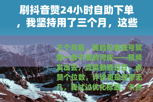 刷抖音赞24小时自助下单，我坚持用了三个月，这些数据不会骗人