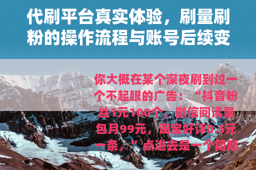 代刷平台真实体验，刷量刷粉的操作流程与账号后续变化