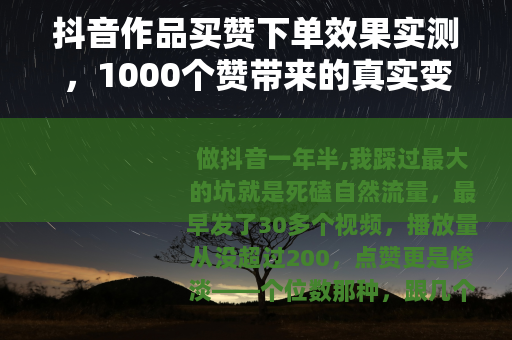 抖音作品买赞下单效果实测，1000个赞带来的真实变化
