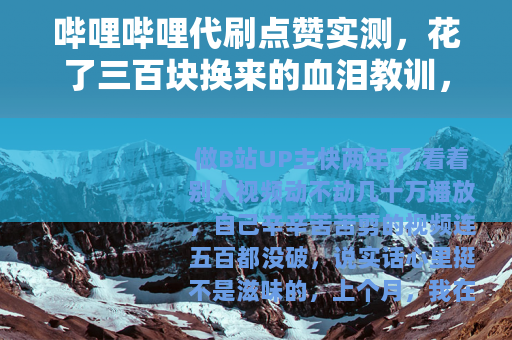 哔哩哔哩代刷点赞实测，花了三百块换来的血泪教训，UP主必看