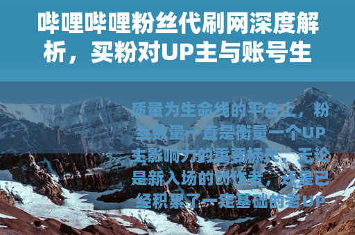 哔哩哔哩粉丝代刷网深度解析，买粉对UP主与账号生态的真实影响