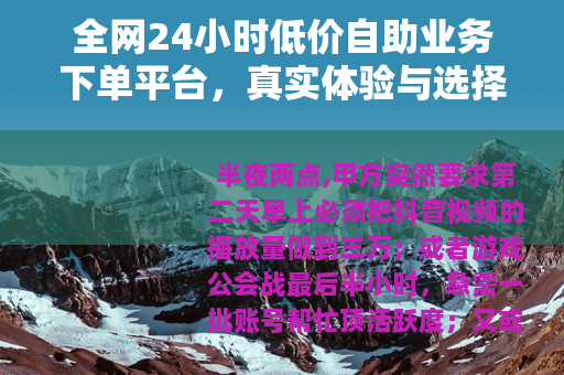 全网24小时低价自助业务下单平台，真实体验与选择技巧