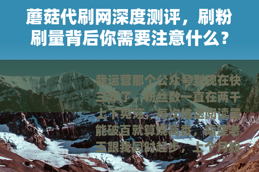 蘑菇代刷网深度测评，刷粉刷量背后你需要注意什么？