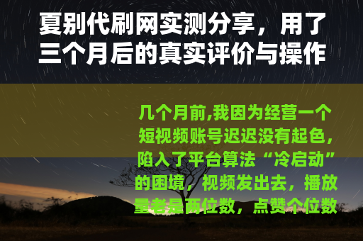 夏别代刷网实测分享，用了三个月后的真实评价与操作建议