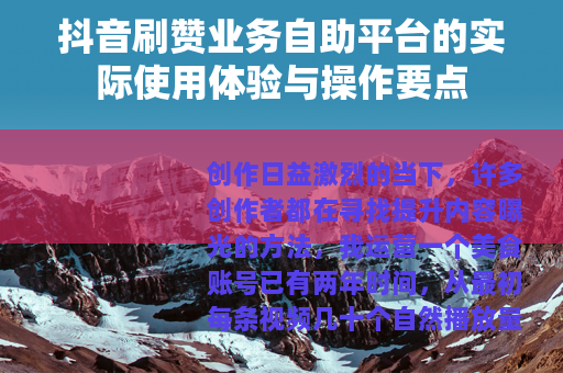 抖音刷赞业务自助平台的实际使用体验与操作要点