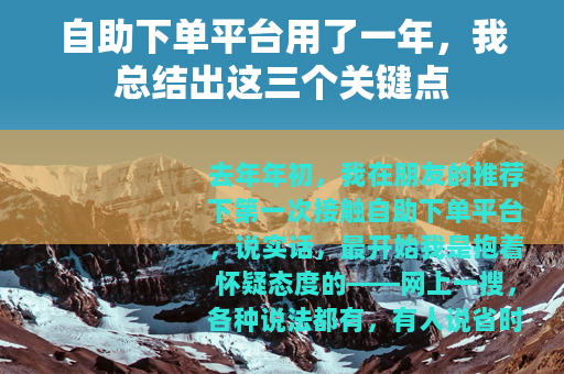 自助下单平台用了一年，我总结出这三个关键点