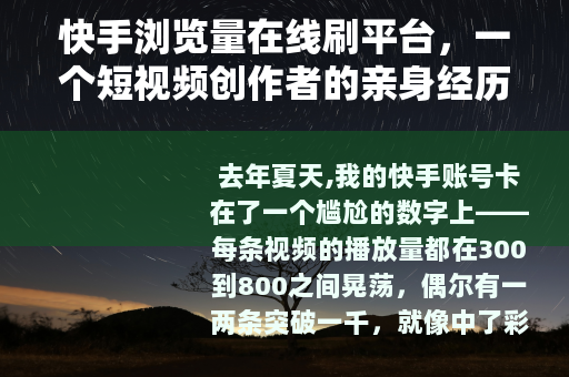 快手浏览量在线刷平台，一个短视频创作者的亲身经历与深度剖析