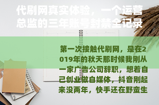代刷网真实体验，一个运营总监的三年账号封禁全记录