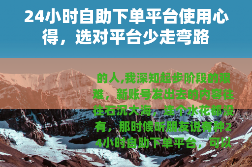 24小时自助下单平台使用心得，选对平台少走弯路