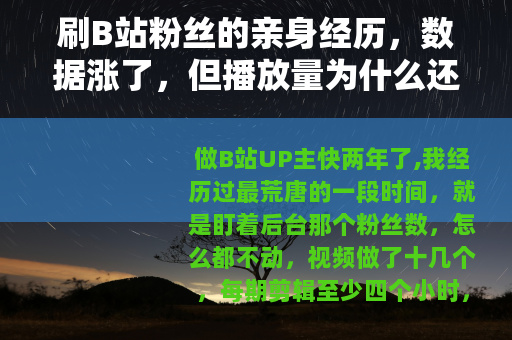 刷B站粉丝的亲身经历，数据涨了，但播放量为什么还是两位数？