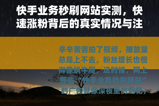 快手业务秒刷网站实测，快速涨粉背后的真实情况与注意事项