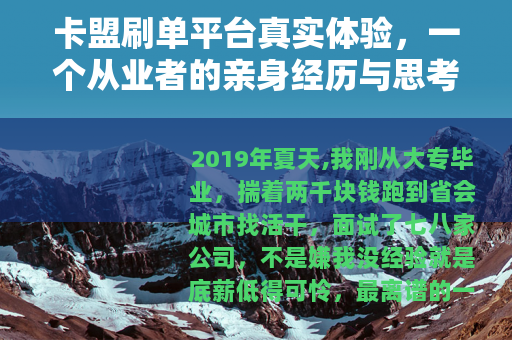 卡盟刷单平台真实体验，一个从业者的亲身经历与思考