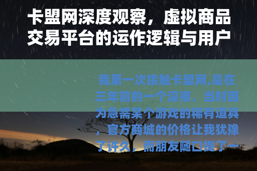 卡盟网深度观察，虚拟商品交易平台的运作逻辑与用户价值解析