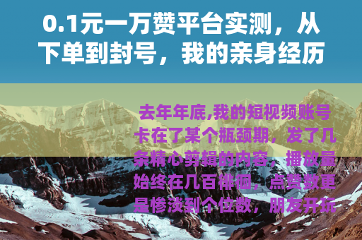 0.1元一万赞平台实测，从下单到封号，我的亲身经历与观察