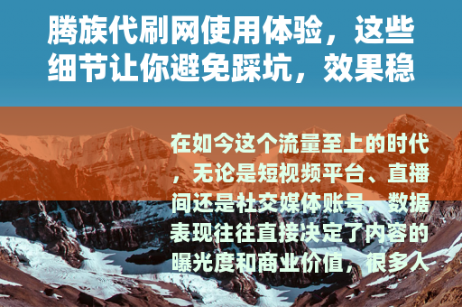 腾族代刷网使用体验，这些细节让你避免踩坑，效果稳定才是硬道理