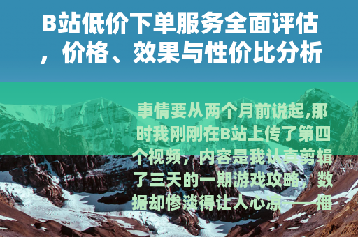 B站低价下单服务全面评估，价格、效果与性价比分析