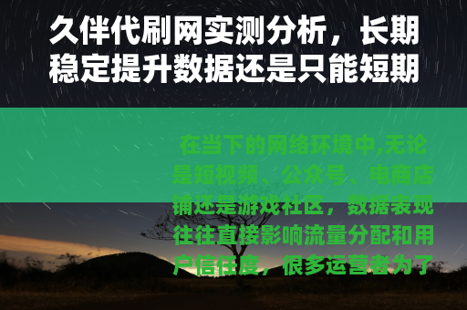 久伴代刷网实测分析，长期稳定提升数据还是只能短期应付需求