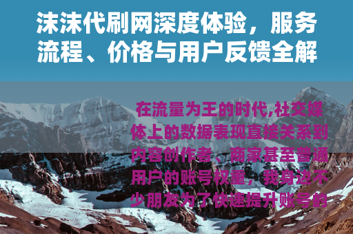 沫沫代刷网深度体验，服务流程、价格与用户反馈全解析
