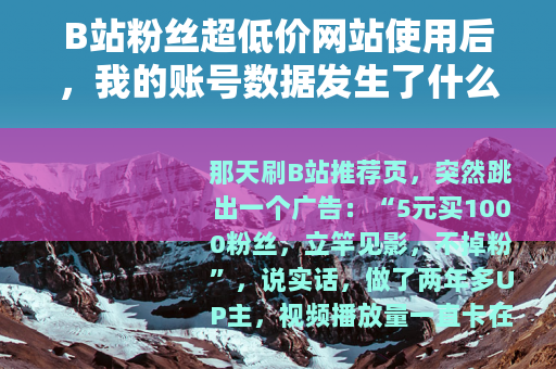 B站粉丝超低价网站使用后，我的账号数据发生了什么变化？