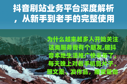 抖音刷站业务平台深度解析，从新手到老手的完整使用指南与真实反馈