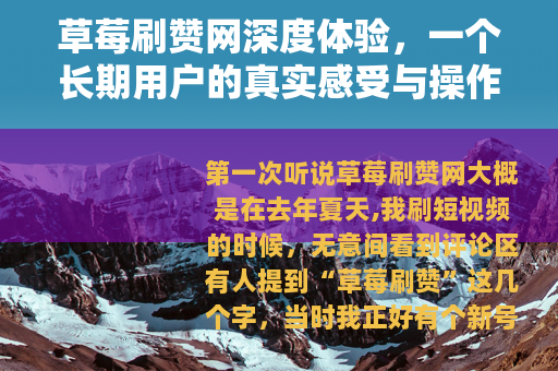 草莓刷赞网深度体验，一个长期用户的真实感受与操作全记录