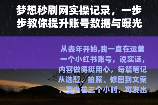 梦想秒刷网实操记录，一步步教你提升账号数据与曝光