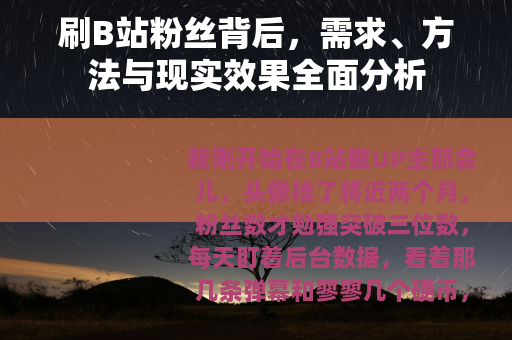 刷B站粉丝背后，需求、方法与现实效果全面分析