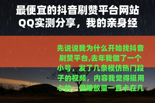 最便宜的抖音刷赞平台网站QQ实测分享，我的亲身经历与价格对比