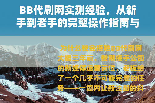 BB代刷网实测经验，从新手到老手的完整操作指南与避坑心得