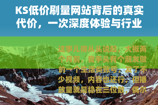 KS低价刷量网站背后的真实代价，一次深度体验与行业观察