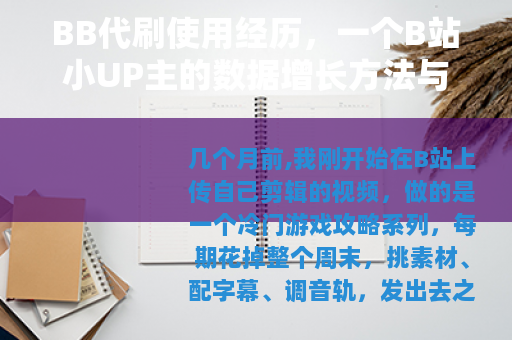 BB代刷使用经历，一个B站小UP主的数据增长方法与长期影响评估