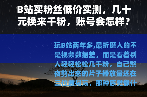 B站买粉丝低价实测，几十元换来千粉，账号会怎样？