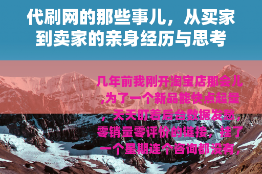 代刷网的那些事儿，从买家到卖家的亲身经历与思考