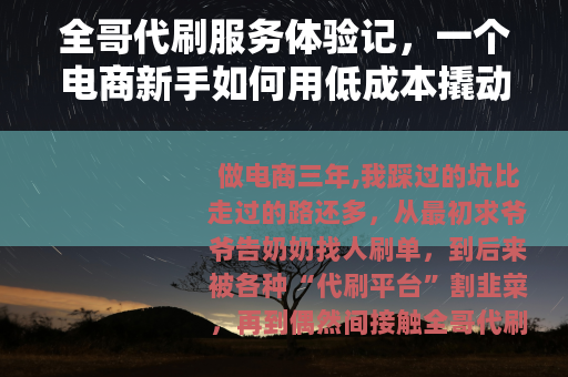 全哥代刷服务体验记，一个电商新手如何用低成本撬动店铺销量