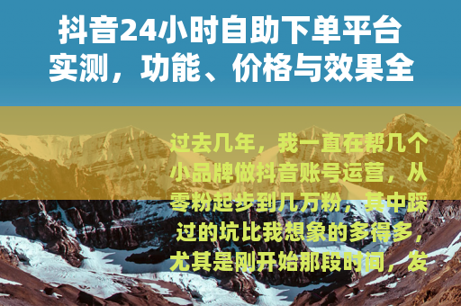 抖音24小时自助下单平台实测，功能、价格与效果全解析（27字）