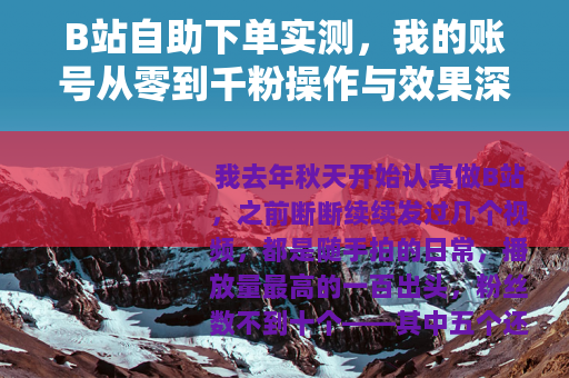 B站自助下单实测，我的账号从零到千粉操作与效果深度分析
