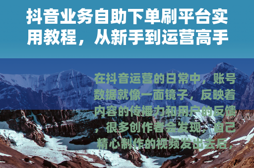 抖音业务自助下单刷平台实用教程，从新手到运营高手的完整操作指南